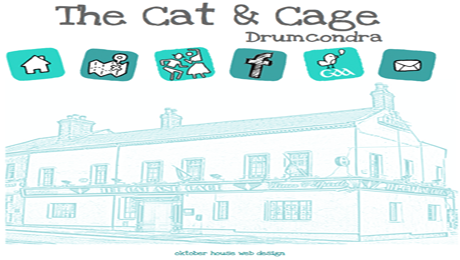 cat and cage